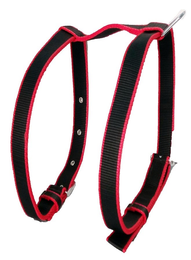 Skora Export Quality Stylish & Durable Harness. Description: - 1.25 Inch, Neck Circumference Adjustable -Min 23 Inch -Max 31 Inch & Rib Circumference 27-37 inch - Image 1
